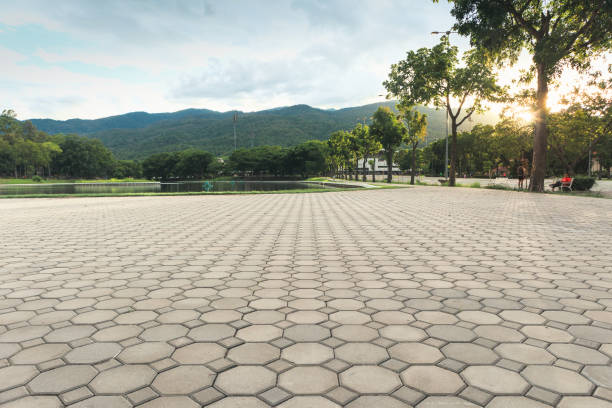 Best Decorative Driveway Pavers  in Pea Ridge, AR